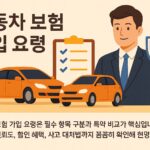 자동차 보험 가입 요령