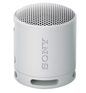 소니 SRS-XB100