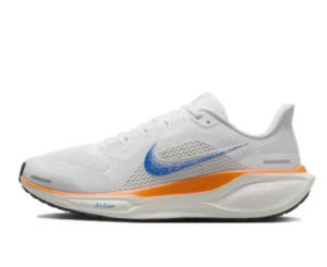 2025 남자 러닝화 추천 - 가성비 제품부터 브랜드별 착화감 완벽 비교! 3 나이키 페가수스 41