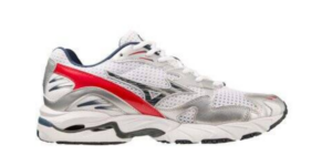 미즈노 웨이브라이더