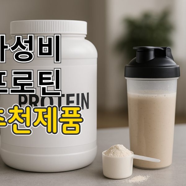 가성비 프로틴 추천 TOP5, 단백질보충제 랭킹 및…