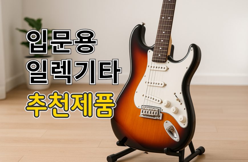입문용 일렉 기타 추천