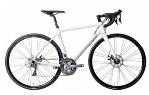 메리다 스컬트라 2025