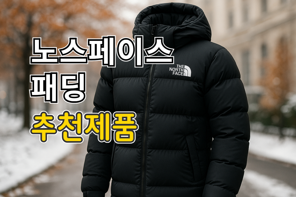 노스페이스 패딩 추천