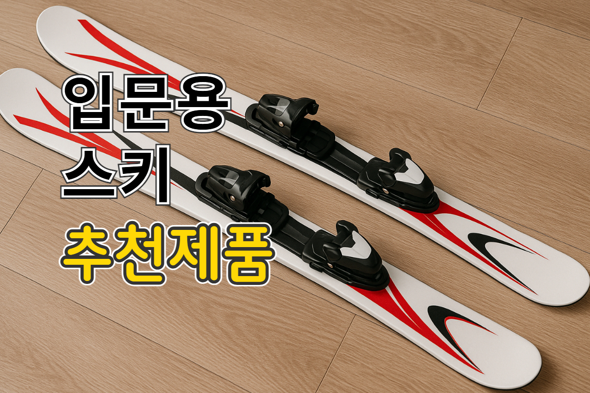 입문용 스키 추천