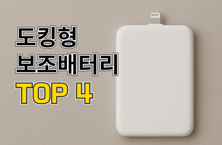 도킹형 보조배터리 추천