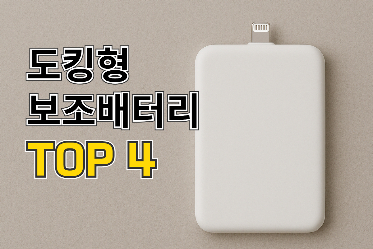 도킹형 보조배터리 추천